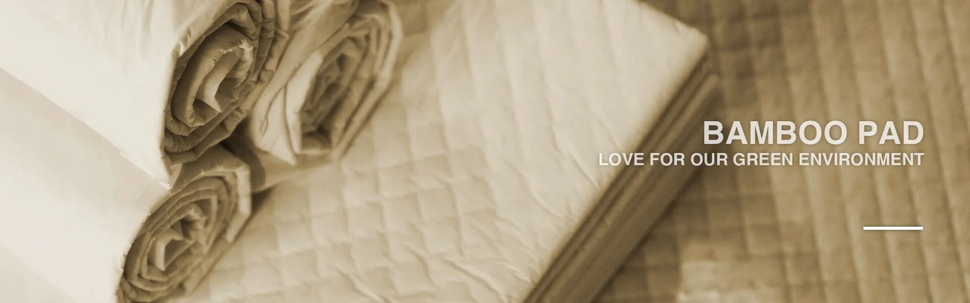 banner2